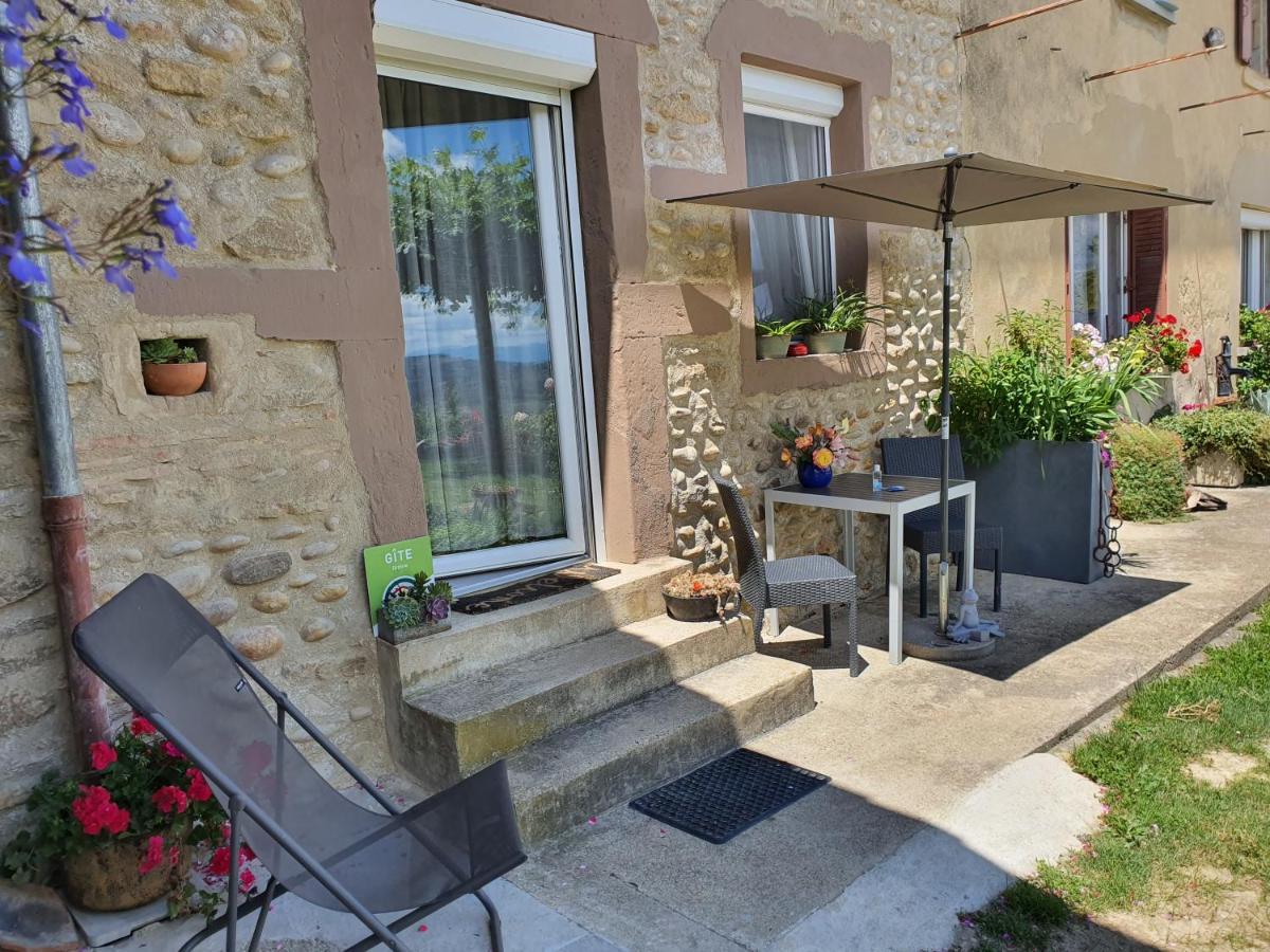Les Figuets Villa Chateauneuf-de-Galaure ภายนอก รูปภาพ