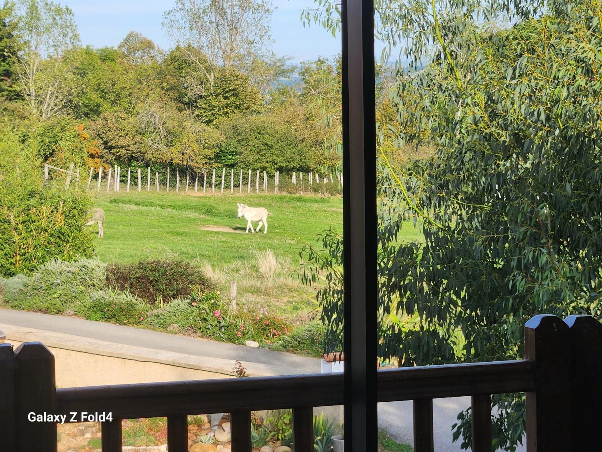 Les Figuets Villa Chateauneuf-de-Galaure ภายนอก รูปภาพ