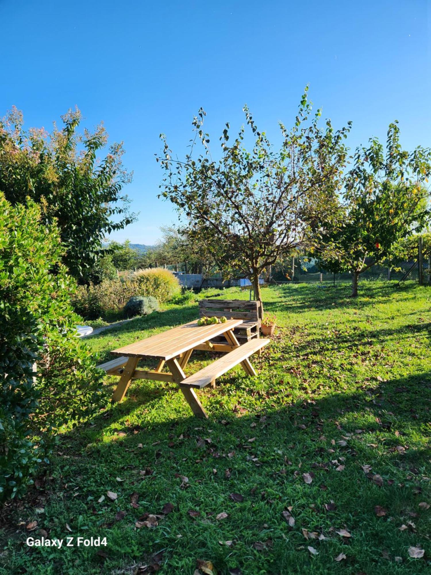 Les Figuets Villa Chateauneuf-de-Galaure ภายนอก รูปภาพ