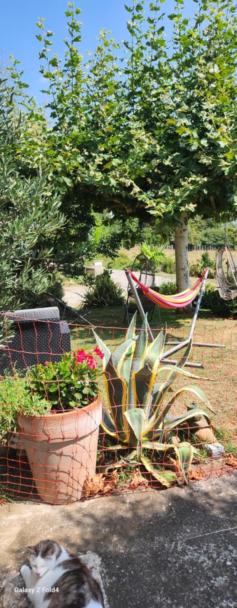 Les Figuets Villa Chateauneuf-de-Galaure ภายนอก รูปภาพ