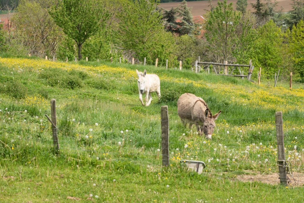 Les Figuets Villa Chateauneuf-de-Galaure ภายนอก รูปภาพ